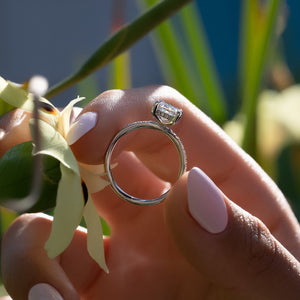 The Pave Kamellie Set  With A 2 Carat Princess 14K White Gold Moissanite