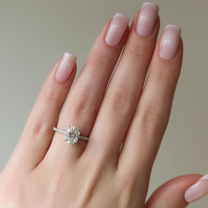 The Pave Claire Set  With A 4.5 Carat E. Cushion 14K White Gold Moissanite