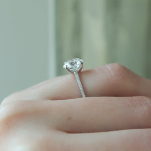 The Pave Ashley Set  With A 2.5 Carat Round 14K White Gold Moissanite