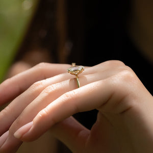 The Pave Alison Set  With A 4 Carat Oval 14K Yellow Gold Moissanite
